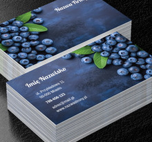 Z szacunku do zasobów naturalnych, Motywy, Roślinne - Wizytówki Netprint