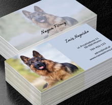 Dbacie o psie życie, Środowisko i Przyroda, Hodowla zwierząt - Wizytówki Netprint