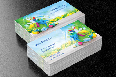 Wiosenna czystość, Usługi domowe, Firma sprzątająca - Wizytówki Netprint