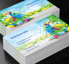 Wiosenna czystość, Usługi domowe, Firma sprzątająca - Wizytówki Netprint