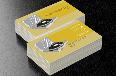 Winyl w adapterze, Rozrywka, Sklep muzyczny - Wizytówki Netprint