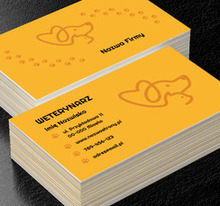 Przyjazny projekt dla weterynarza lub kliniki, Środowisko i Przyroda, Lecznica weterynaryjna - Wizytówki Netprint