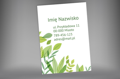 Naturalność w zrównoważonej formie, Motywy, Roślinne - Plakaty Netprint