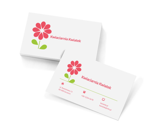 Różowa stokrotka, Środowisko i Przyroda, Kwiaciarnia - Wizytówki Netprint szablony online