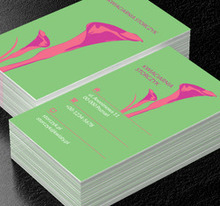 Niesztampowa kalia, Środowisko i Przyroda, Kwiaciarnia - Wizytówki Netprint