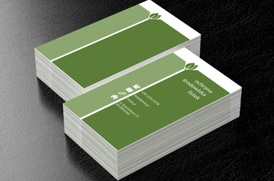 Krzyżujące się liście, Środowisko i Przyroda, Ochrona Środowiska - Wizytówki Netprint