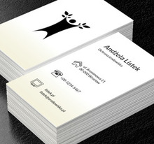 Sylwetka człowieka z liśćmi, Środowisko i Przyroda, Ochrona Środowiska - Wizytówki Netprint