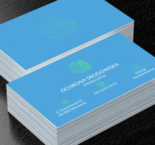 Jasne liście na niebieskim tle, Środowisko i Przyroda, Ochrona Środowiska - Wizytówki Netprint