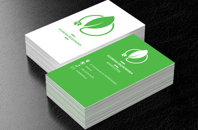 Liść z wtyczką do kontaktu, Środowisko i Przyroda, Ochrona Środowiska - Wizytówki Netprint