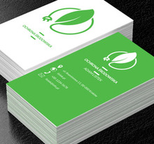 Liść z wtyczką do kontaktu, Środowisko i Przyroda, Ochrona Środowiska - Wizytówki Netprint