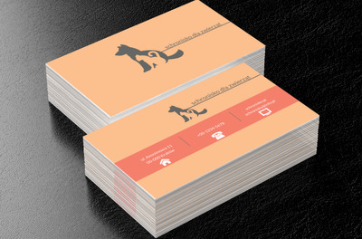 Jak pies z kotem, Środowisko i Przyroda, Schronisko - Wizytówki Netprint