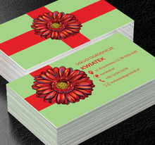 Czerwony kwiat na zielonym tle, Środowisko i Przyroda, Usługi ogrodnicze - Wizytówki Netprint