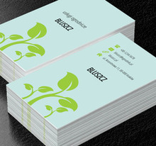 Pnący się bluszcz, Środowisko i Przyroda, Usługi ogrodnicze - Wizytówki Netprint