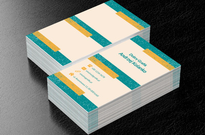 Kolorowe prostokąty, Telekomunikacja i Internet, Grafik komputerowy - Wizytówki Netprint