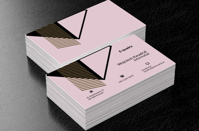 Figury geometryczne, Telekomunikacja i Internet, Informatyk - Wizytówki Netprint