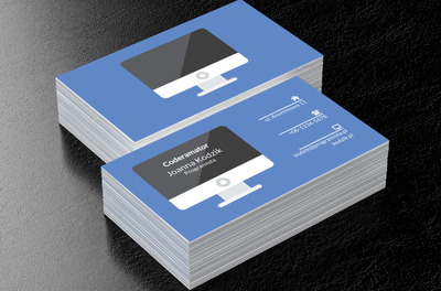 Duży monitor, Telekomunikacja i Internet, Programista - Wizytówki Netprint