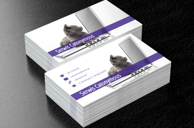 Kot na laptopie, Telekomunikacja i Internet, Serwis komputerowy - Wizytówki Netprint