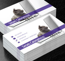 Kot na laptopie, Telekomunikacja i Internet, Serwis komputerowy - Wizytówki Netprint