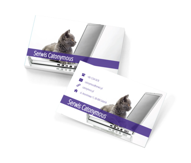 Kot na laptopie, Telekomunikacja i Internet, Serwis komputerowy - Wizytówki Netprint szablony online