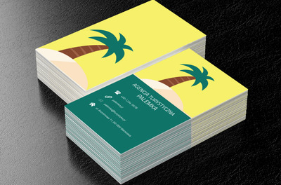 Palma na piasku, Turystyka, Agencja turystyczna - Wizytówki Netprint
