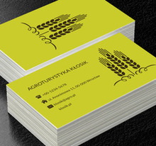 Kłosy zbóż, Turystyka, Agroturystyka - Wizytówki Netprint