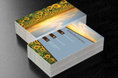 Kolorowy malowniczy krajobraz, Turystyka, Agroturystyka - Wizytówki Netprint