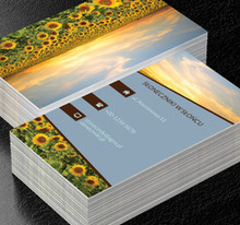 Kolorowy malowniczy krajobraz, Turystyka, Agroturystyka - Wizytówki Netprint