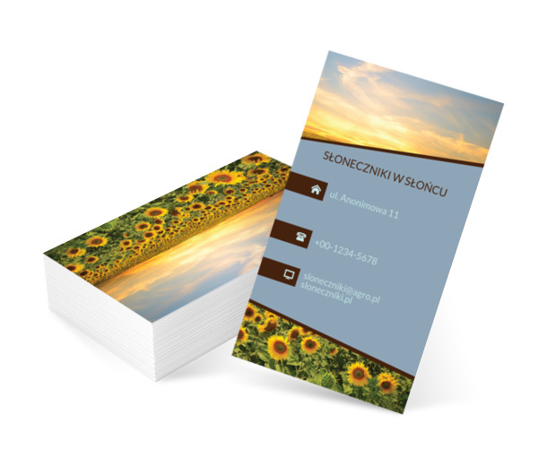 Kolorowy malowniczy krajobraz, Turystyka, Agroturystyka - Wizytówki Netprint szablony online