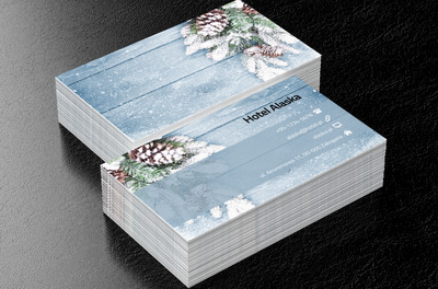 Zimowa kompozycja, Turystyka, Hotel, Motel, Pensjonat  - Wizytówki Netprint