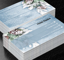 Zimowa kompozycja, Turystyka, Hotel, Motel, Pensjonat  - Wizytówki Netprint