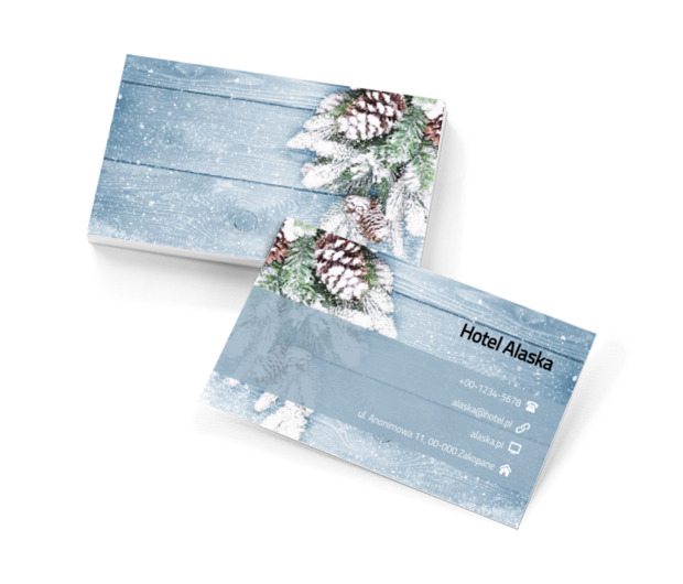 Zimowa kompozycja, Turystyka, Hotel, Motel, Pensjonat  - Wizytówki Netprint szablony online