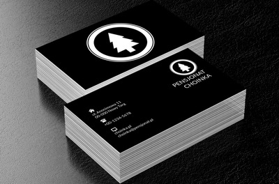 Biała choinka, Turystyka, Hotel, Motel, Pensjonat  - Wizytówki Netprint