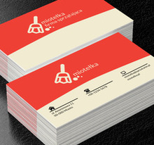 Mała miotełka, Usługi domowe, Firma sprzątająca - Wizytówki Netprint