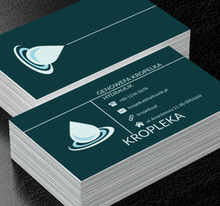 Niebieska kropelka, Usługi domowe, Hydraulik - Wizytówki Netprint