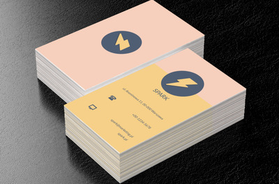 Błyskawica w kole, Usługi biurowe, Agencja marketingowa - Wizytówki Netprint