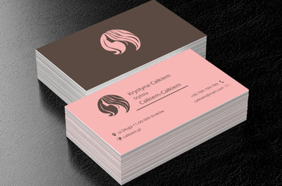 Głowa z profilu, Zdrowie i uroda, Stylista - Wizytówki Netprint