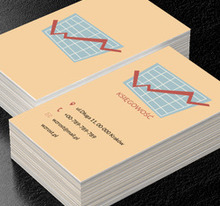 Tabelka z wykresem, Usługi biurowe, Księgowość - Wizytówki Netprint