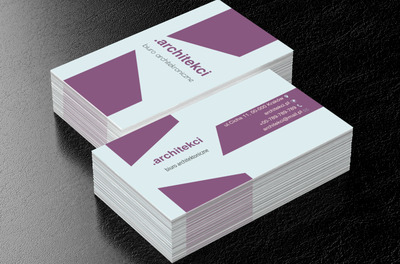 Artystyczny nieład, Budownictwo, Architektura - Wizytówki Netprint