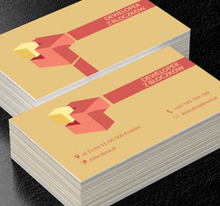 Dwukolorowe bloczki, Budownictwo, Deweloper - Wizytówki Netprint