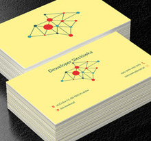 Układ sieciowy, Budownictwo, Deweloper - Wizytówki Netprint